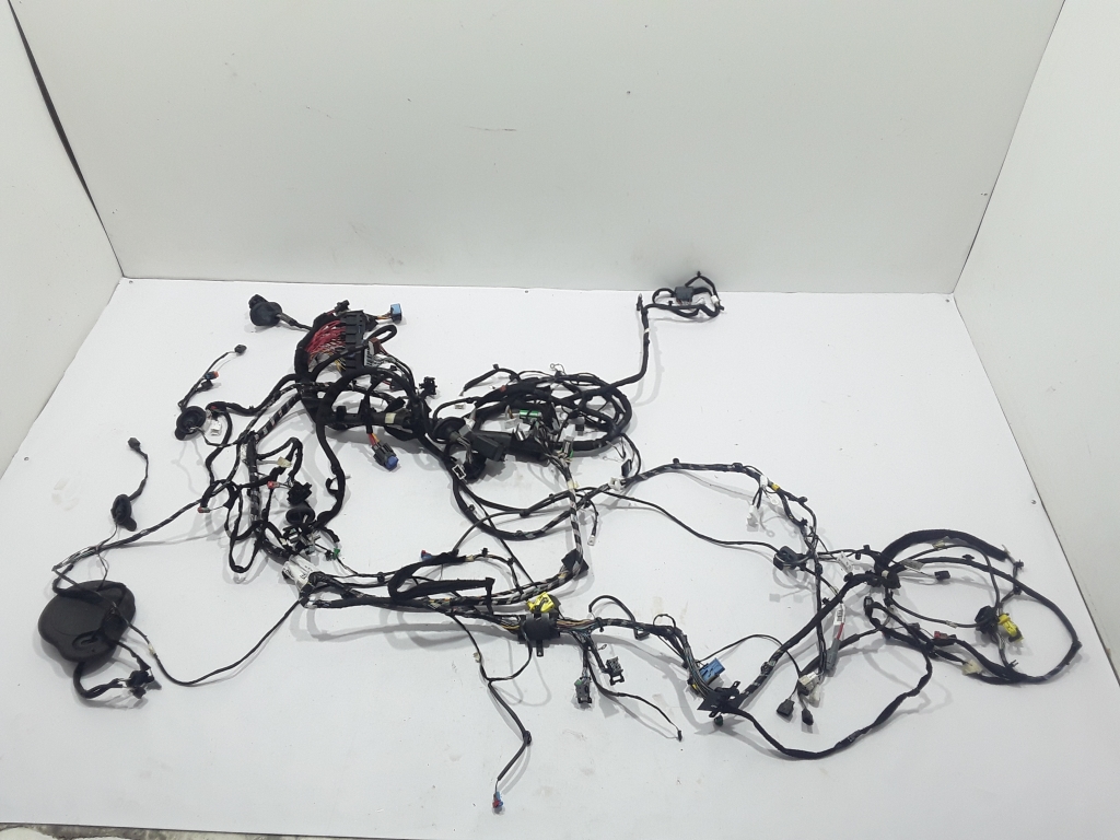 RENAULT Megane 4 generation (2016-2023) Interior wiring harness (left) 241630983R 22408905