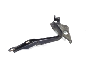 Hood hinge - 5341042040
