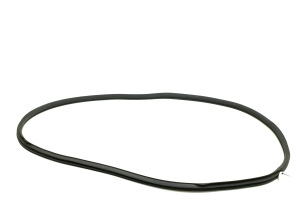   Front door rubber seal  - A2056970051 