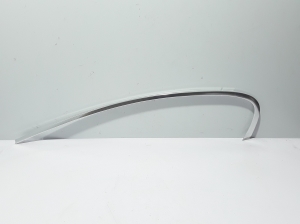   Rear side door strip to glass outer 