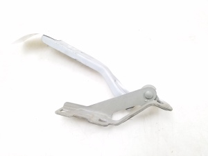 Kapoti hing - 