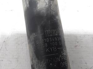 RENAULT Kangoo (2008–2020) Stoßdämpfer hinten 562103493R - 3