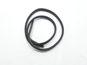 Dacia Duster (2010–2017) Rear side door seal 769247161R - 2