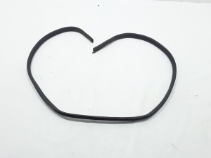 Dacia Duster (2010–2017) Rear side door seal 769247161R - 3