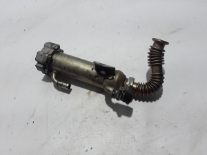   EGR valve cooler 