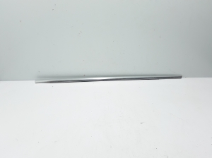  Rear side door strip to glass outer 