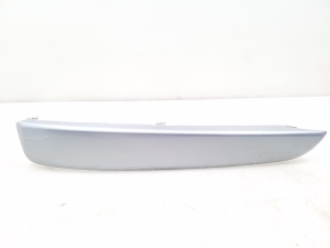   Front bumper trim strip 