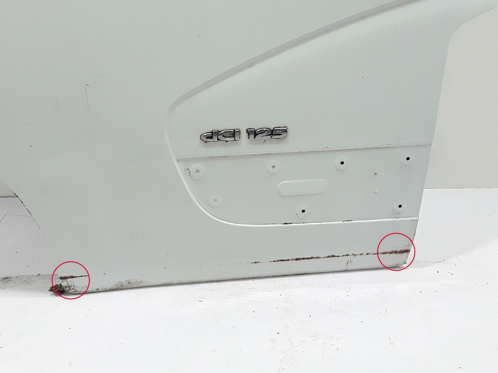 RENAULT Master Front Left Door 801017005R 22411902