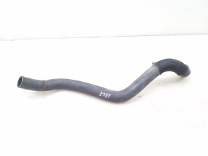   Hose  -  