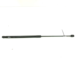 Hood prop/gas strut - A1669802464