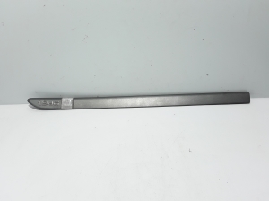   Front door molding  - 8200036020 