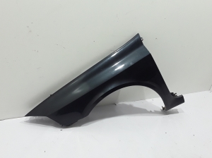 RENAULT Laguna II (2001–2007) Front fender 8201094793 - 3