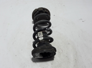   Rear spring 