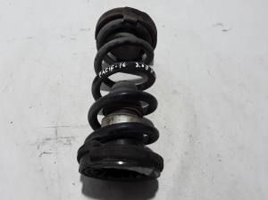   Rear spring 