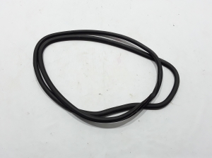 Chrysler Pacifica (2016–2026) Sliding door seal 68313523AB - 2