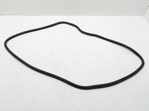 Chrysler Pacifica (2016–2026) Sliding door seal 68313523AB - 3