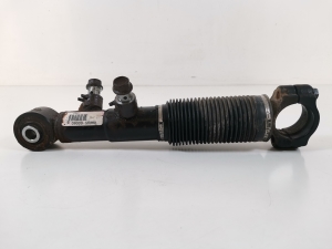   Rear stabilizer amotizer  -  
