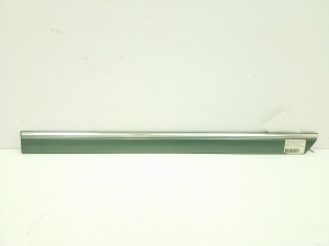 Rear side door molding - A2026903162