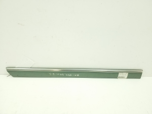 Rear side door molding - A2026903262
