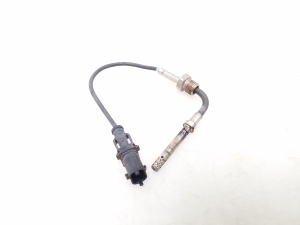   Exhaust gas sensor 