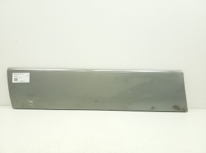   Zierleiste Tür vorne  - A1406900340 