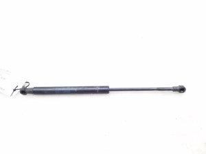   Trunk lid shock absorber 