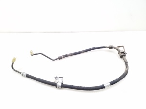   Hose  -  
