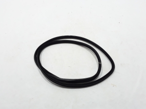 BMW 5 SERIES F10 (2010–2017) Rear side door seal 7182287 - 3
