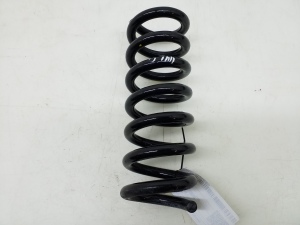   Rear spring 