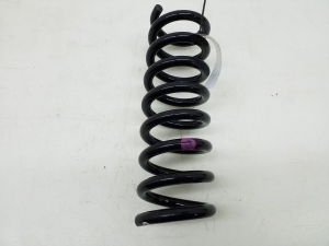   Rear spring 