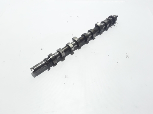 RENAULT Scenic (2003–2010) Nockenwelle 8200718120 - 2