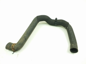   Radiator hose  - A1695011182 