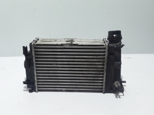 RENAULT Kadjar (2015–2026) Ladeluftkühler 144962803R - 3