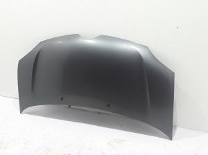 Motorhaube - 651004005R