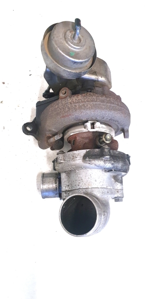 Turbolader und seine Teile - 172010R020