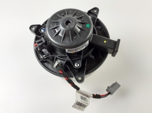  Salona plecu motors 