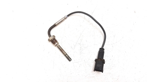   Exhaust gas sensor 