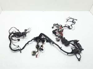 Engine wiring harness - 31260019