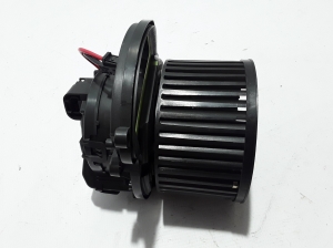  Salona plecu motors 