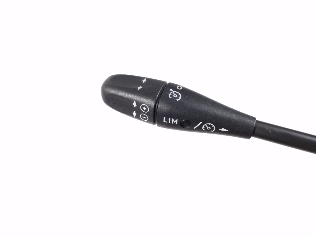 MERCEDES-BENZ CLS-Class C219 (2004-2010) Ручка постоянной скорости (автопилота) A1715402445 21922709