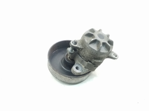 Rihma pinguti ja selle osad - 