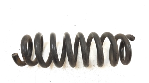 Feder hinten