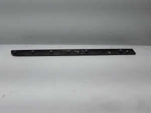 RENAULT Kangoo (2008–2020) Esiukse liist 8200439113 - 3