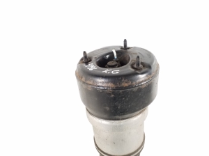 Mercedes Benz S-Class 221 (2005–2013) Stoßdämpfer hinten A2213205513 - 2