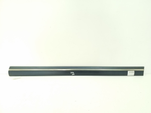   Zierleiste Tür vorne  - A2106900482 