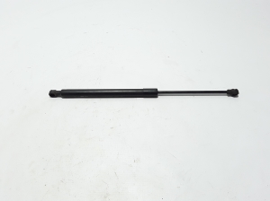   Trunk lid shock absorber 