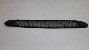  Front bumper lower grille 