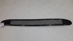  Front bumper lower grille 