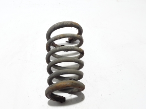   Rear spring 