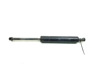   Heckklappendämpfer  - A0019808064 